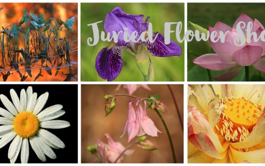 2019 Juried Flower Show