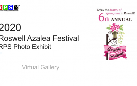 2020 Azalea Show Virtual Exhibit