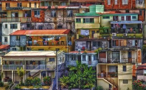 Martinique Neighborhood - Steve Ryf