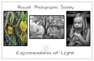 2019 Expressions of Light