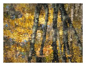Reflections of KlimtGittel PriceStill Life & Abstract