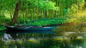 Serenity-Monet's GardenRocky MooreLandscape & Nature