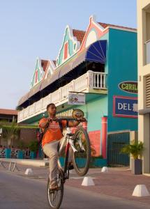 Title: Biking in Bonaire Artist: Vicki McWhinnie Category: Digital